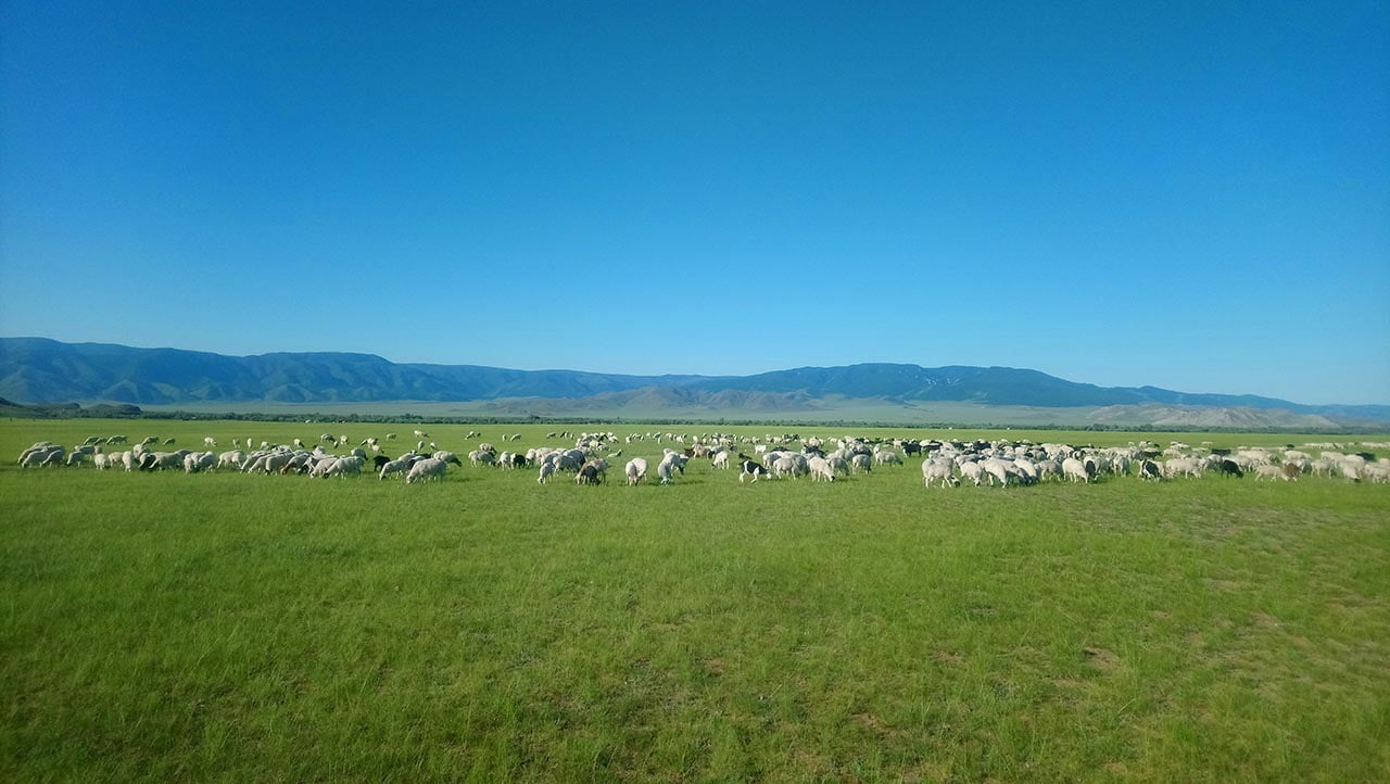 Landschaft der Mongolei