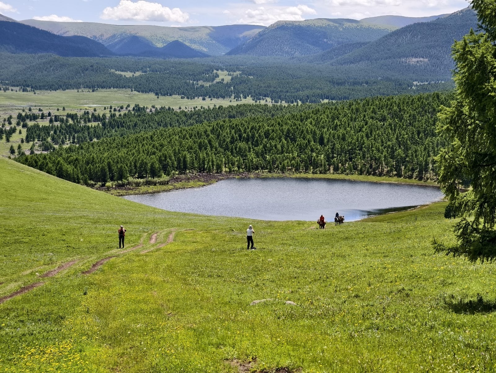 Landschaft der Mongolei