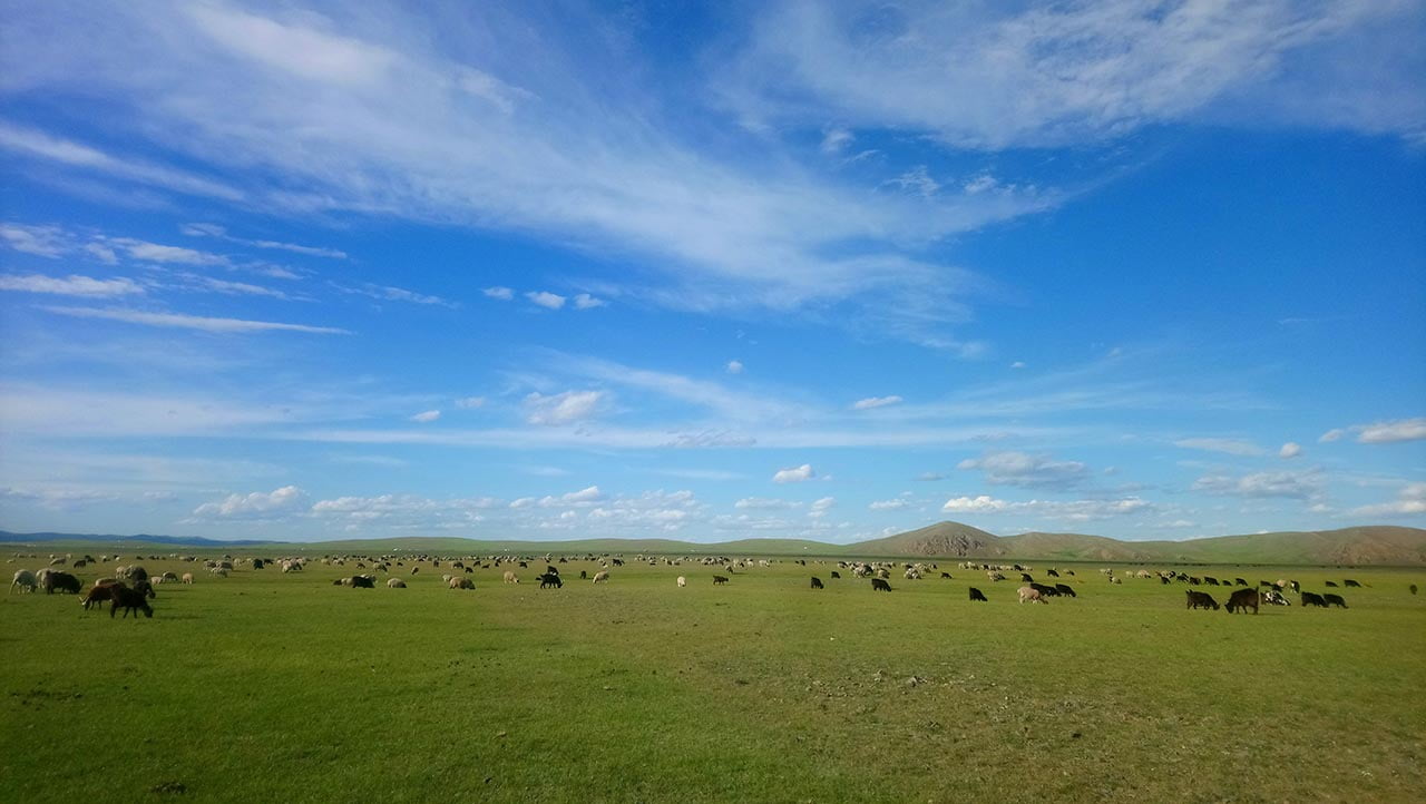 Unendliche Steppe mit Gazellenherden /14 Tage/