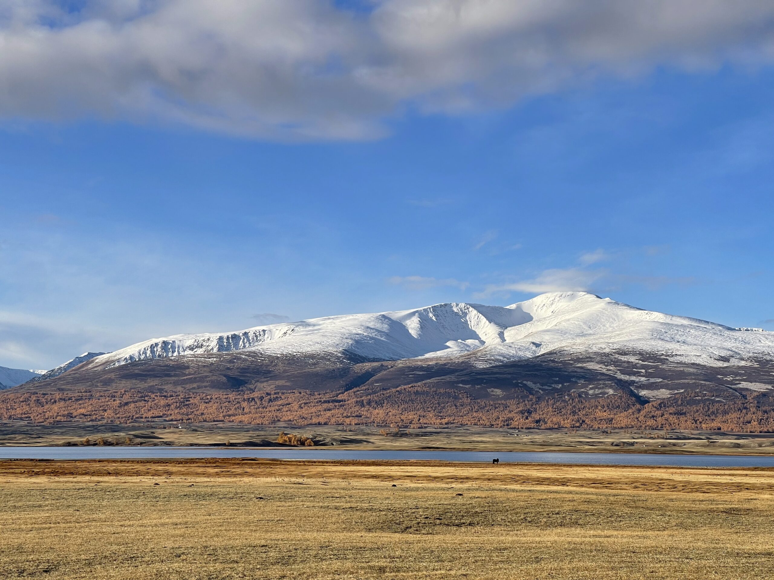 Khangai- und Altaigebirge /21 Tage/